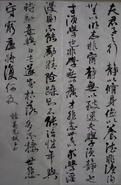 1701673024613987.png image.png